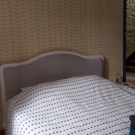 La Vicoise Accueillante Bed & Breakfast Vic-Fezensac Room photo